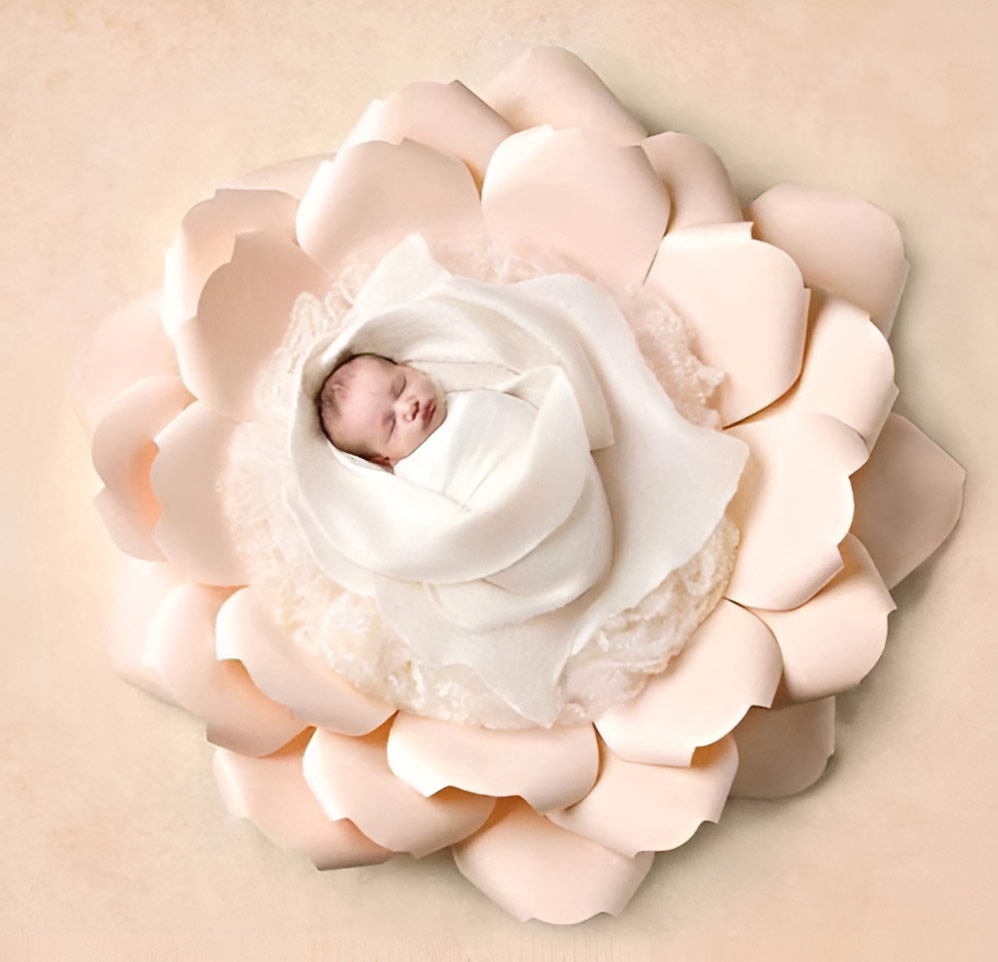 Newborn Photography Props