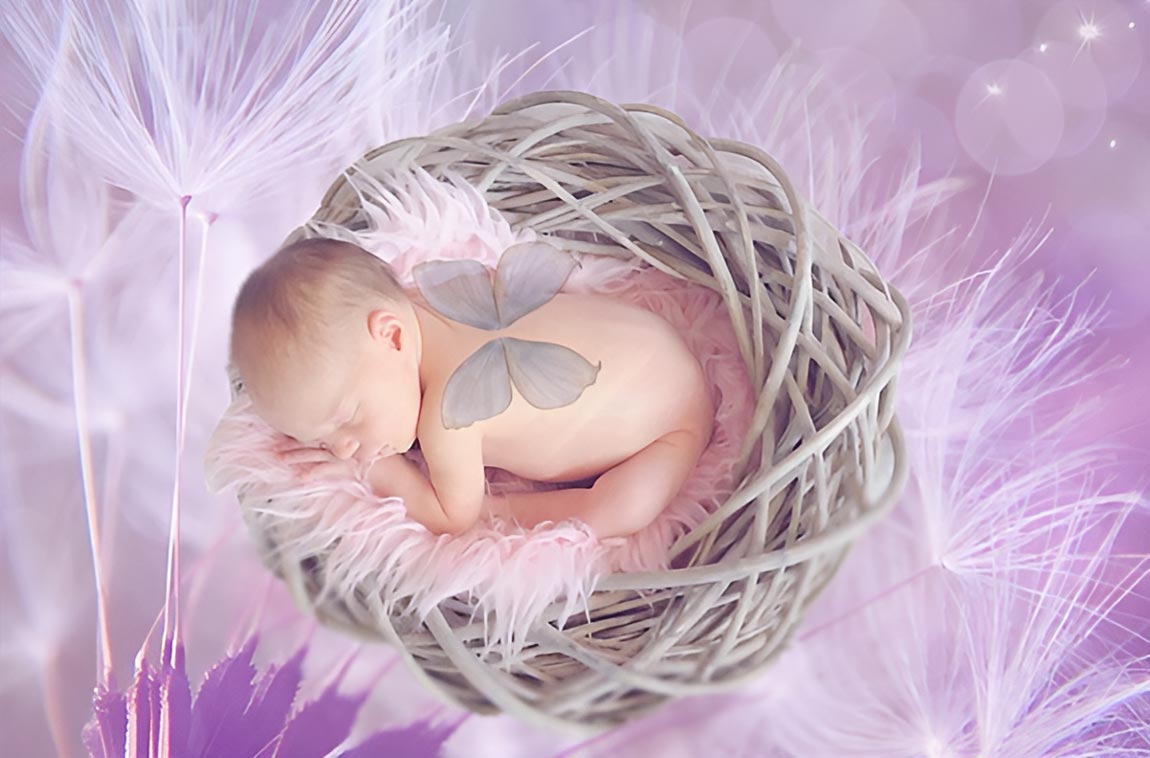 Newborn Photography Props