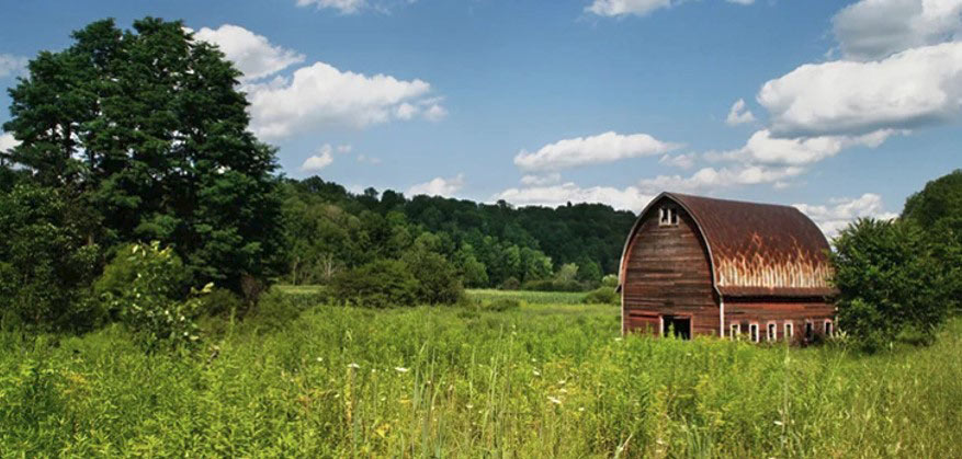 Landscape Photography Subjects (Rural Landscapes)